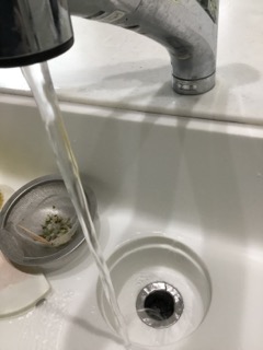 キッチン排水