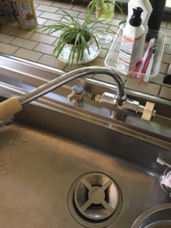 蛇口