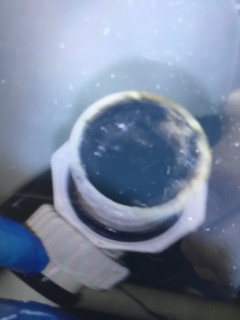 排水